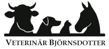 cropped logga i ratt farg.png